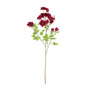 Bantry Bay Rose Spray Hot Pink