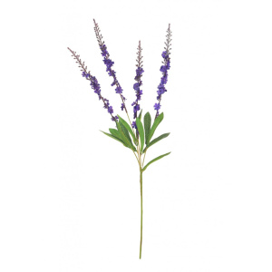 Nyla Spray Dark Purple