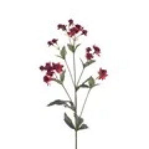 Eco Astrantia Spray - 77cm, Burgandy