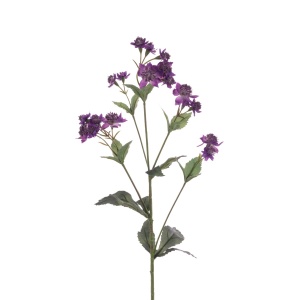 Eco Astrantia Spray - 77cm, Purple