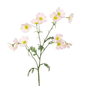 Wild Cosmos Spray 77cm