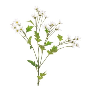 Aster Daisy Spray 65cm, Cream