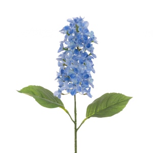 Paniculata Hydrangea 65cm, Blue