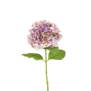 French Hydrangea - 70cm