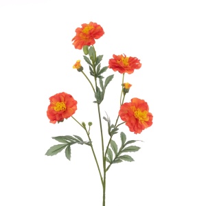 Eco Marigold Spray 61cm, Orange