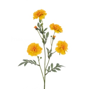 Eco Marigold Spray 61cm, Yellow