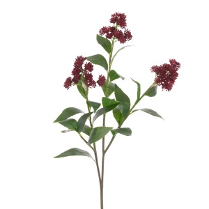 Skimmia Spray 62cm