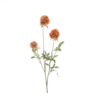 Scabiosa Stellata Spray 73cm, Orange