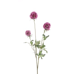 Scabiosa Stellata Spray 73cm, Pink
