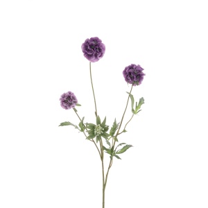 Scabiosa Stellata Spray 73cm, Purple