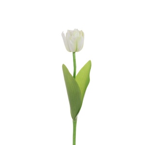 Eco Single Tulip 51cm, Cream/green