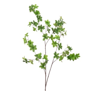 Schefflera Spray - 120cm