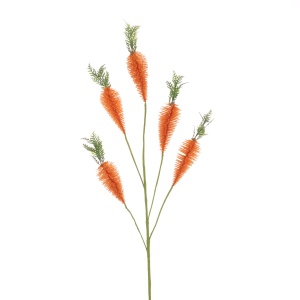 Bristle Carrot Spray 75cm