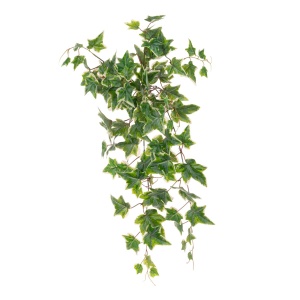 Eco Ivy Hanging Bush Uv