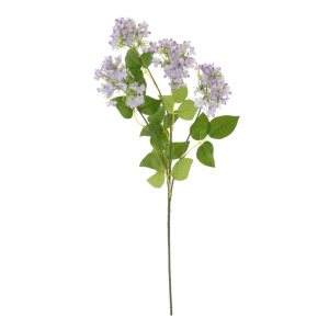 Charlotte Spray Lilac