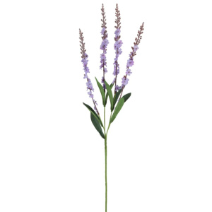 Nyla Spray Pale Purple