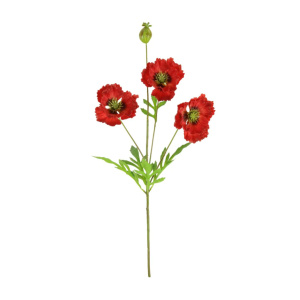 Grand Oriental Poppy Red