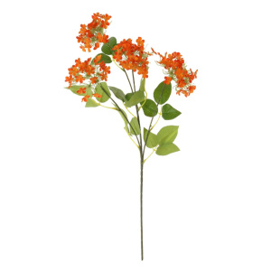 Charlotte Spray Orange