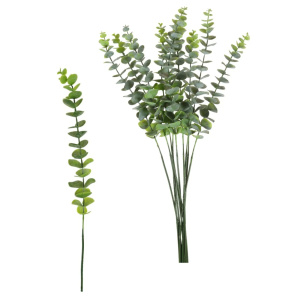 Dusted Euc Sprig T/t Green (10pcs Per Bunch)