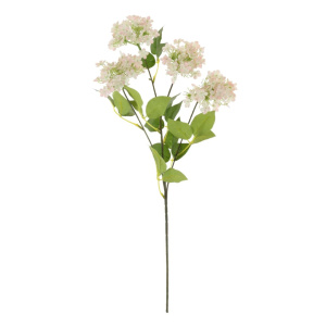 Charlotte Spray Pale Pink