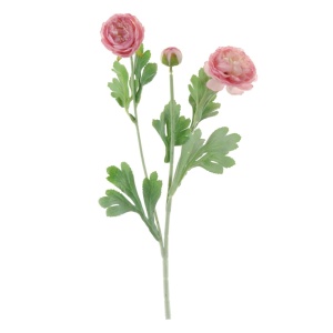 Ranuncula Spray Pale Pink