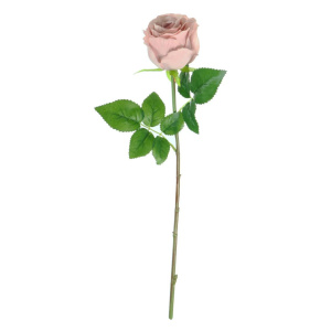 Lila Bud Rose Dusty Pink