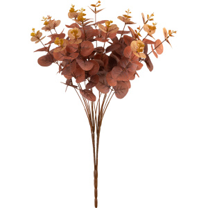 Eucalyptus Bush Brown