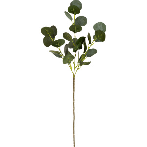 Eleganza Eucalyptus Frosted Green