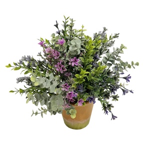 Blossom Foliage In Pot