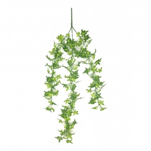 Green Mini Ivy Trail