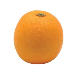 Orange Large Weighted-8cm