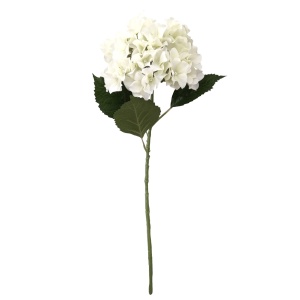 Cream Hydrangea Stem 69cm