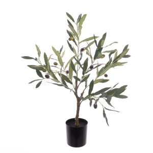 Olive Tree In Pot 60cm