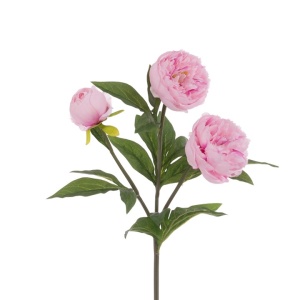 Peony Spray X 3