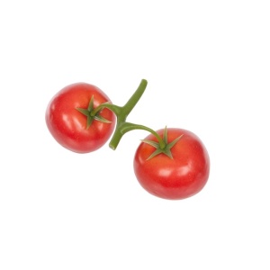 Tomato On Vine X 2
